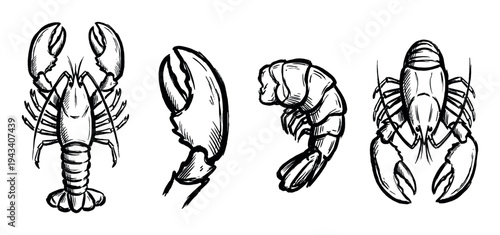 Hand-drawn black ink sketch illustrations of lobster, crayfish, shrimp tail, and claw in an artistic brushstroke style, a collection for a seafood restaurant menu or food packaging
