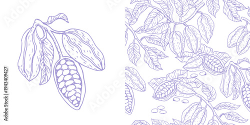 Hand drawn cacao fruit seamless pattern. Cocoa pods and leaves in sketch style. Outline blue or purple vector illustration. Cocoa fruits food background.
