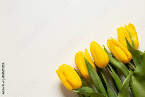 Foto Yellow tulips lie on a white background