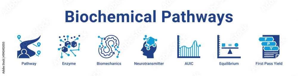 Naklejka premium Biochemical Pathways Icon Banner blue color