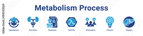 Metabolism Process Icon Banner blue color