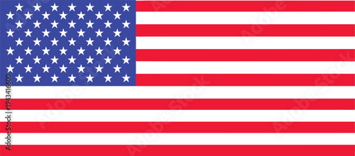 The iconic flag of the united states of america with stars and stripes Vector