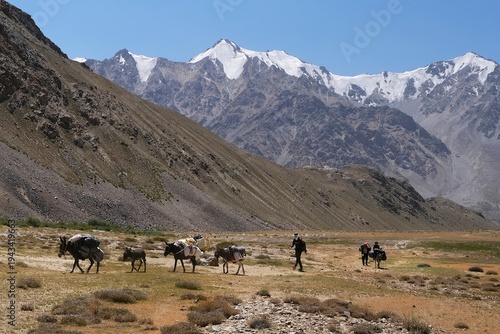 Pamir Mountains, Tajikistan - Scenery of Pamir Mountains with porters with donkeys and luggage during trekking, trail along Andaravaj river from Bachor village, Gorno-Badakhshan, Ta