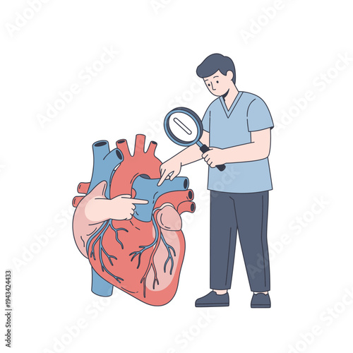 Doctor examining human heart with magnifying glass, cardiology concept
