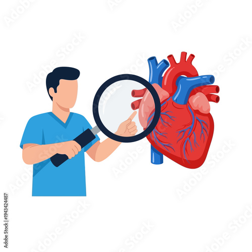 Doctor examining human heart with magnifying glass, cardiology concept