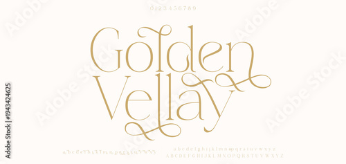 Golden Vellay Stylish Serif Font Vector with Swirly Swash for Editorial and Beauty Branding