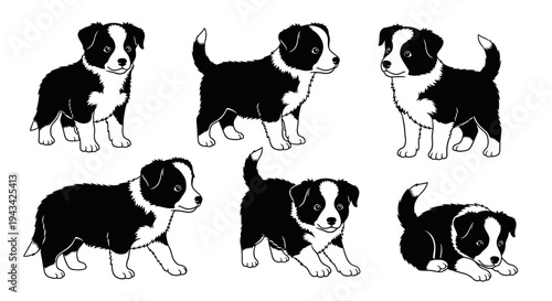 Cute Border Collie Puppies Poses Set - Black and White Dog Illustrations