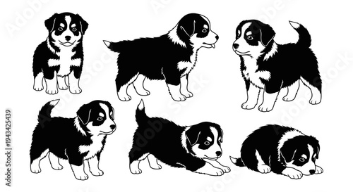 Cute Border Collie Puppies: Set of 6 Adorable Poses, Black and White Vector Illustration