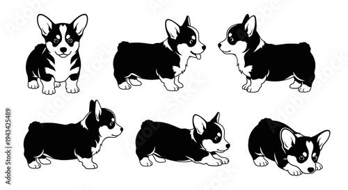 Cute Corgi Dog Poses Collection: Standing, Sitting, Lying Down - Black and White Vector Art