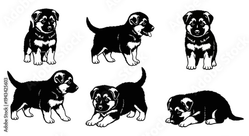 Cute German Shepherd Puppies Poses Collection: Playful, Standing, Lying Down