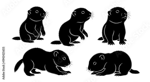 Cute Groundhog Pups Silhouettes: Five Poses of Baby Marmots in Black and White