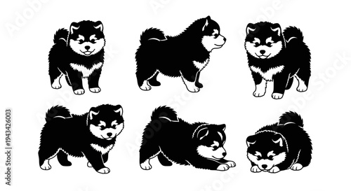 Cute Husky Puppy Poses - Black and White Vector Illustrations