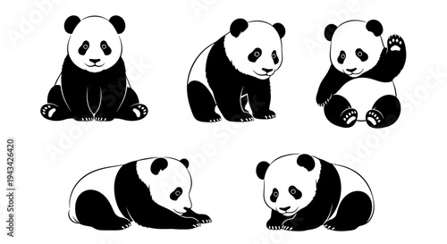 Cute Panda Bears Collection: Five Adorable Poses of Giant Pandas in Black and White