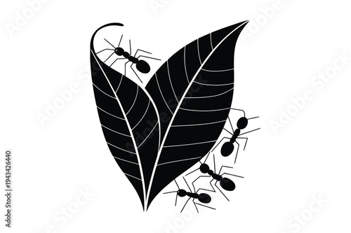 Ants on leaf silhouette vector illustration