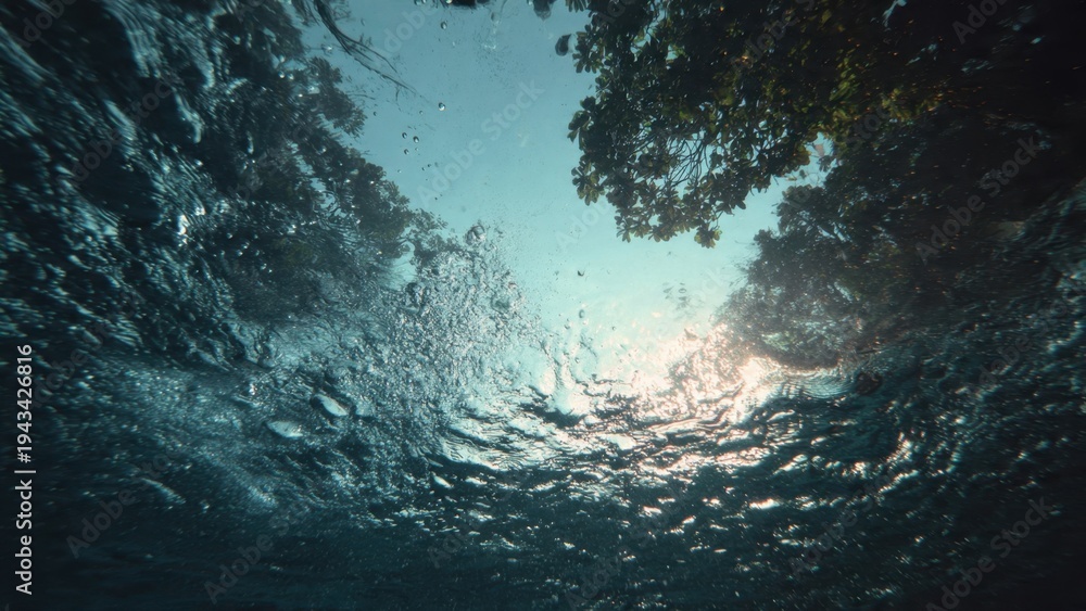 Obraz premium Underwater view of trees, blue sky
