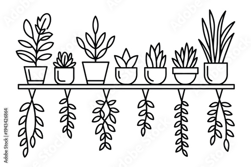Assortment of potted houseplants on shelf