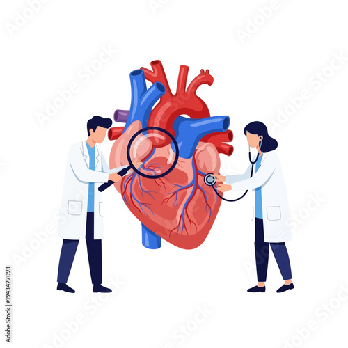 Doctors examine human heart with stethoscope and magnifying glass, cardiology concept