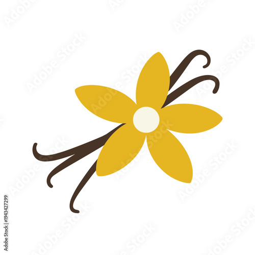 Stylized yellow flower with brown vanilla bean pods on a white background spice