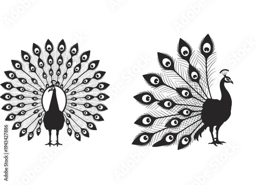 Black and White Silhouettes of Peacocks with Fanned Tails vector illustration