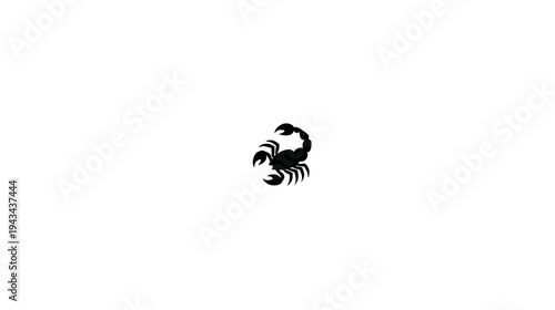 A black scorpion silhouette against a white backdrop. The scorpion is the only prominent object