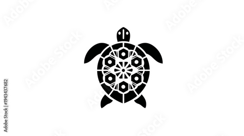 A geometric illustration of a turtle with a patterned shell against a stark white background