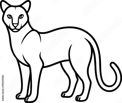 Fossa  icon outline   vector on white background