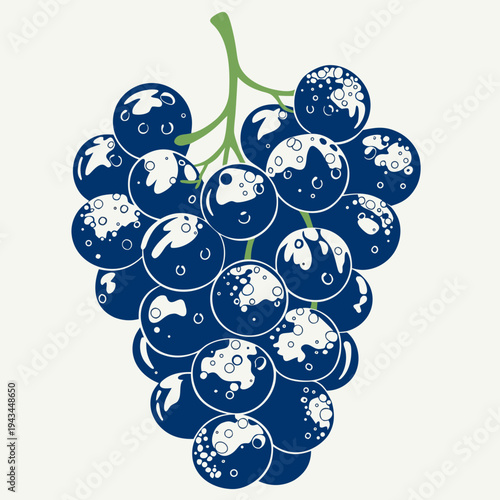 blue grapes vector illustration