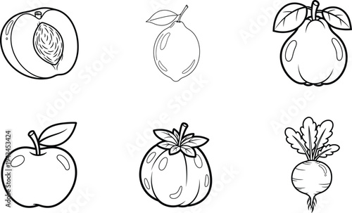 A collection of six fruit and vegetable illustrations