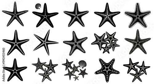 Collection of Starfish Illustrations: Nautical, Marine Life, Ocean, Beach, Summer Icons