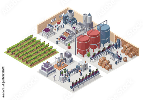 Modern winery production process from grape harvesting to bottling and aging
