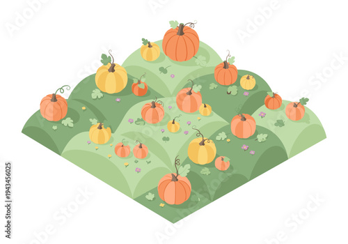 Autumn harvest of pumpkins and gourds on rolling green hills with small flowers