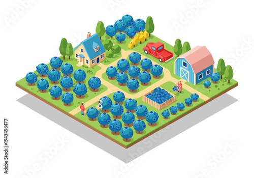 Isometric blueberry farm with workers harvesting ripe berries and a red truck