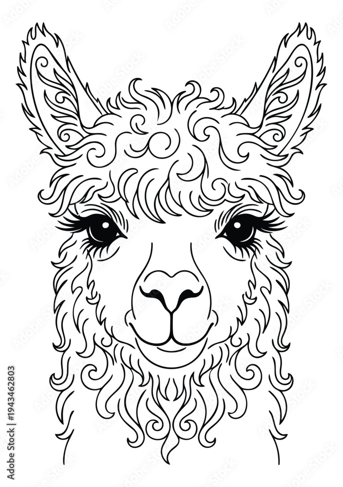 Fototapeta premium Ornamental line art illustration of llama face depicting decorative swirls and flourishes for coloring book design