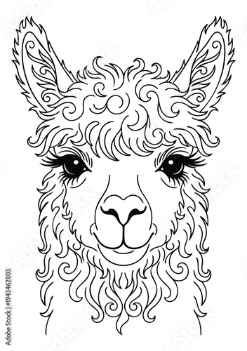 Ornamental line art illustration of llama face depicting decorative swirls and flourishes for coloring book design
