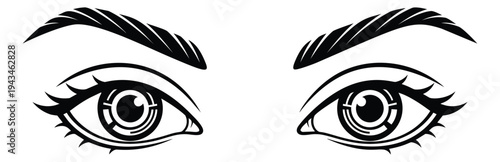 Bold outline illustration of female eyes with eyebrows depicting beauty and gaze for cosmetic design