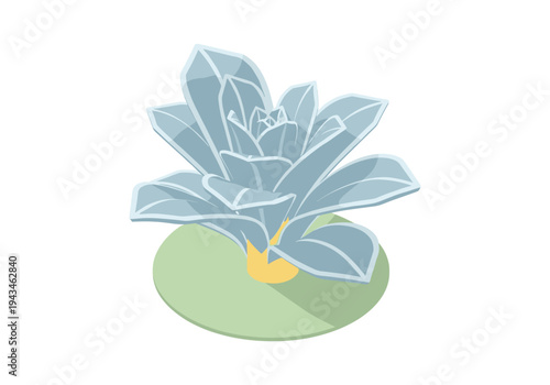 Stylized illustration of a blue succulent plant with a shadow on a white background