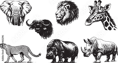 African Safari Animals Set with Elephant Lion Giraffe Buffalo Rhino Cheetah Hippo Engraved Vector