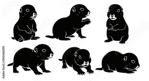 Cute Prairie Dog Pups Silhouettes Collection, Black and White Vector Illustration