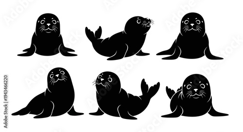 Cute Seal Pups Silhouette Collection: Various Poses, Black and White Vector Art