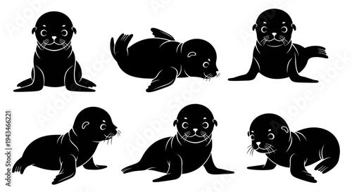 Cute Seal Pups Collection: Six Poses of Adorable Baby Seals in Black and White Silhouette