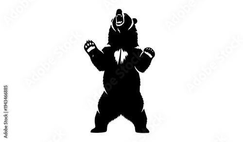 Standing roaring bear silhouette vector wild animal action illustration isolated on white background