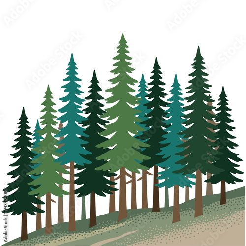 Green pine forest landscape with tall evergreen trees on grassy hill