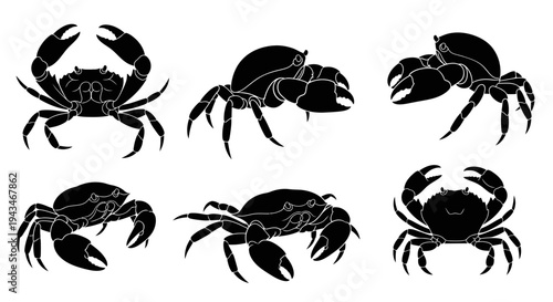 Set of Black Crab Silhouettes on White Background, Top View and Side View