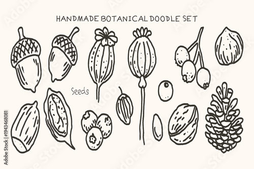 Handdrawn Botanical Seeds and Pods Doodle Set