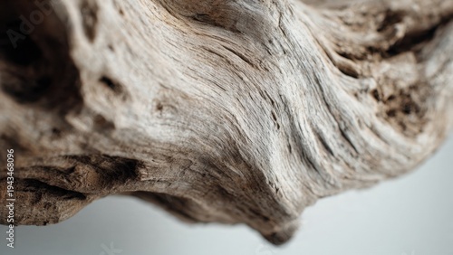 Close-up of textured driftwood