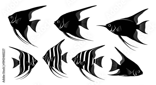 Set of Black Angelfish Silhouettes on White Background