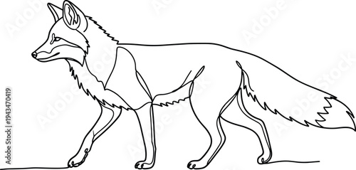 Black line of a walking fox line walking animal white background