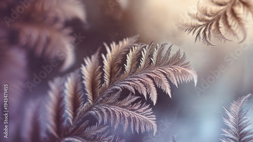 Intricate Fern-like Frost Patterns on a Cold Glass Surface