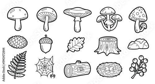 Forest and Nature Element Icon Set — Mushroom, Acorn, Oak Leaf, Tree Stump, Fern, Spider Web, Log, Berries, Toadstool, Stone Line Art