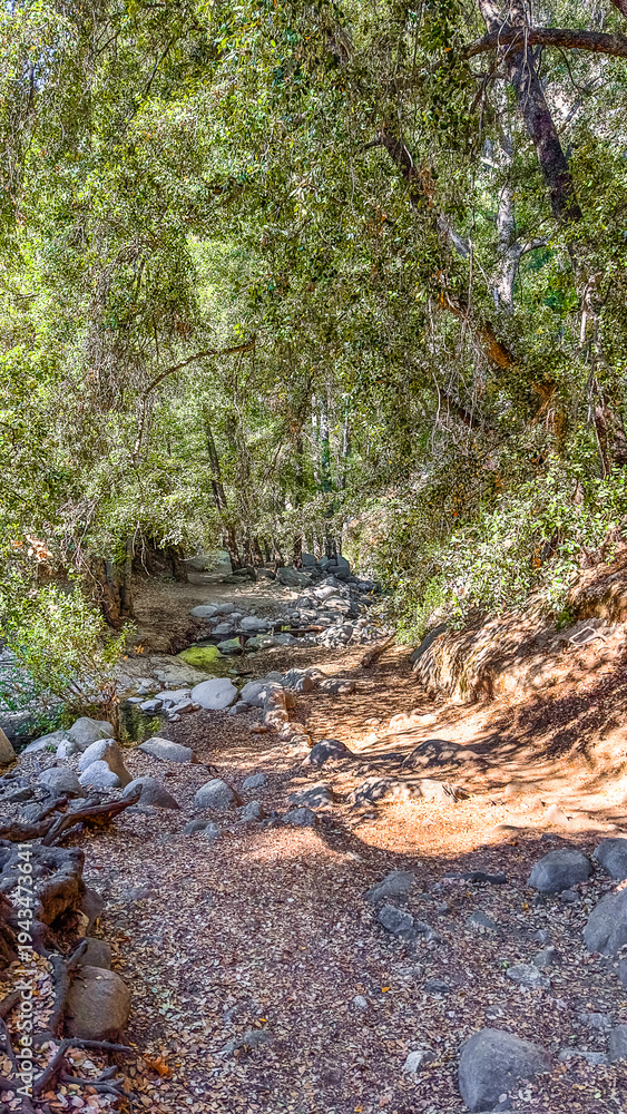 Fototapeta premium View of the Gabrielino Trail leading to the Switzer Falls in the Los Angeles County